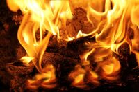 Чим вигідніше опалювати будинок: дровами, вугіллям чи пелетами? (ЦІНИ)