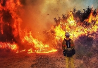 Масштабні пожежі на Рівненщині: винні люди чи аномально тепла зима
