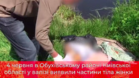 На Київщині жінку розчленували та запхали у валізу з одягом (ФОТО/ВІДЕО)