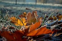 Під сонцем, але з морозом: синоптики озвучили погоду на сьогодні