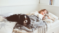 Чи можна пускати собаку в ліжко до дитини: відповідь експерта