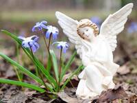 14 травня: Хто сьогодні святкує День ангела (ФОТО)
