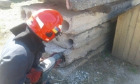 З бетонної пастки у Корці врятували породистого кота (ФОТО)