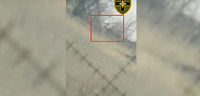 «Ванька» вибіг з лопатою просто на українського снайпера і був покараний (ВІДЕО) 