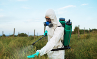 Як прибрати пестициди з куплених на ринку чи в супермаркеті продуктів