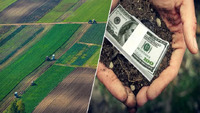 Дозволять масовий продаж української землі: кому та за які гроші продаватимуть ділянки з 1 січня