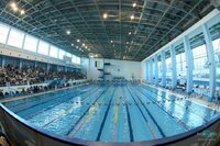 Рівненські плавці привезли 30 медалей з Чемпіонату України 