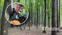 У лісі на Рівненщині знайшли рідкісного червонокнижного гриба (ФОТО)