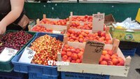 На ринку у Рівному – «літній рай»: абрикоси – дорогі, а чорниця – подешевшала 