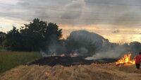Підпалив солому: На Рівненщині «на гарячому» спіймали палія