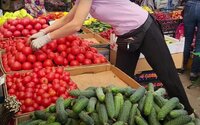 Коли в Україні почнуть дешевшати помідори, огірки та цибуля
