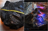 У світі знайшли найбільший камінь бурштину: Він важить як мішок картоплі (ФОТО)